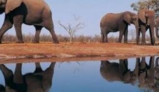 ����ǿ���Ӵ�����������������ʽ�Ͷ��