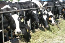 ����ʡ��̨����ƽ�����ҵ��ɫ��չ