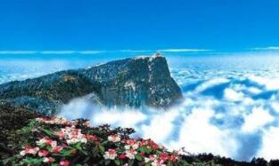 �Ļ������β�:2018�������г��������  ȫ��ʵ������������5.97����Ԫ