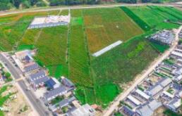 �ӱ��۰���������ƻ����ֲ������20��Ķ