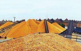 ������ˮ���г����չ���53% �׳��������չ�