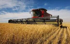 ũҵũ�岿����ӡ����2019����ֲҵ����Ҫ�㡷ũ��ũ[2019]1�ŵ�֪ͨ