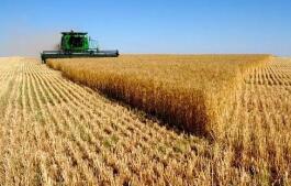 ũҵũ�岿�칫������ӡ����2019��ũҵũ��ƽ̻��ܹ���Ҫ�㡷��֪ͨ  ũ��ơ�2019��9��