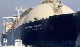 ����Ԥ�ƽ���LNGó�׶����11%