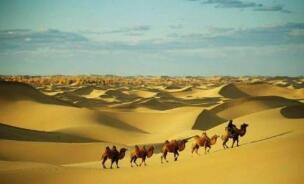 ���������䲿��ϣ�����롰һ��һ·��