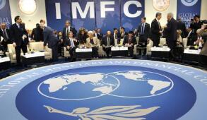 IMF��ϣ�����ø�������ؼ��Ըĸ�