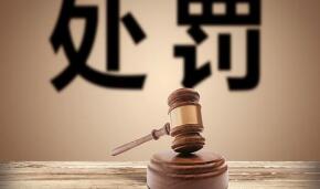 ֤���������5�ڰ���������������