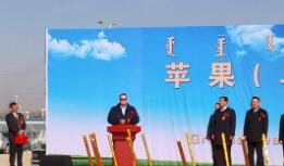 ƻ������������Ŀ�������첼���п�����ʽ