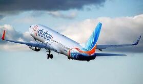 ���ʽ�ֹ����737 MAXϵ�пͻ������������