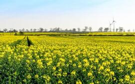 �������𣺳������ô�Viterra Inc.��ҵ�Ͳ���ע��Ǽ�