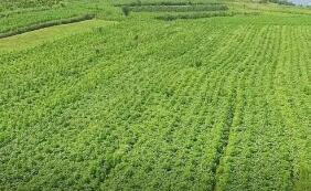 ��ҹ�˾��Ӧ��ҵ�����������