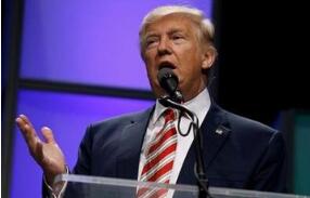 �����նشٽ�Ϣ ȫ����ɷ�Χ���Ũ