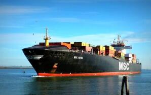 ˰ί�ᡲ2019��17�Ź���Ժ��˰˰��ίԱ����ڵ���������Ʒ����˰�й������֪ͨ