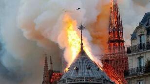 ����ʥĸԺ���ֺ�����ؽ��������������������ļ��