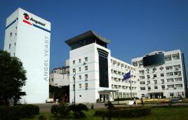 ������ĸ��һ���Ⱦ����»���15% �����ʽ�С������