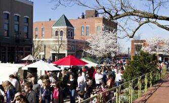 ������ӿ����15��������¡���������ǵĳ���