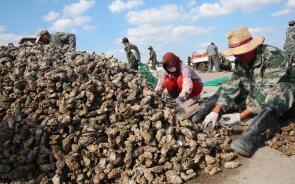 �ҹ���ѧ����ֳ����ĵ�óɹ�