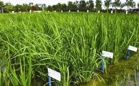 28��Ʒ��ͨ��2018��ȫ����ˮ����������