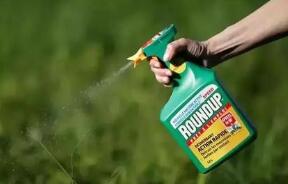 �⳥25.5����Ԫ����ɽ�����ݼ��°���������¸�