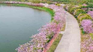 ���ݽ����⽨����ٹ���̵� ���齭Ϊ���ȵ� ÿ����5��������