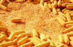 ������Ԫ�������ƽ�۸��ܶ��µ�0.2����ÿ��˾1,282.73��Ԫ