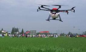 7.8��Ԫũ�����ò����´����ʡ ֲ�����˻�����1000��Ԫ