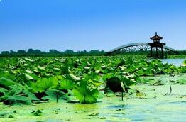 �ӱ���ʡ�����Ӵ������ƽ������������̬���������ͱ���