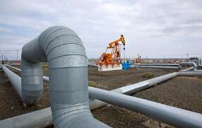 �½����ｨ�ɹ�����󡰳��͡���������