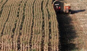 ���Ϲ���ũ��֯��ȫ��ʳƷ�۸��������������