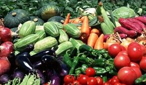 ����ʳ��ũ��Ʒ���������ϼ۸�С������