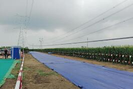 ɽ��ʡ�׸�̼��ά���ߵ������̽���Ͷ��