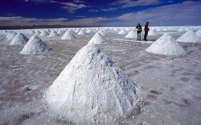 ȫ������������μӹ������Ĵ�����