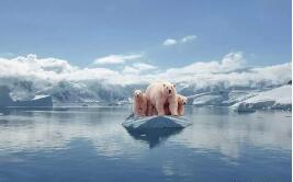 �¹�������72����6�¸��¼�¼