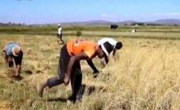 �ҹ��ӽ�ˮ���ڷ��޴��߲���¼