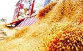 ���������и����ǵ��ΰ� ��ָ��0.06%   ũҵ���������Ӱ���Ƿ���ǰ��