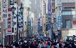 �����µ�2019��GDP������Ԥ��