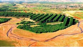 �ҹ��˸����ֹ�����Ͷ�볬��5000��Ԫ