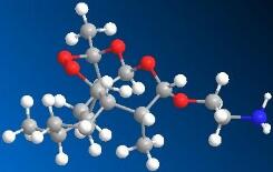 ���������������Ǵ���ѡ��ҩ����II���ٴ�