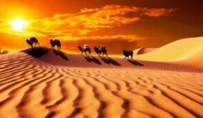 ȫ��ծȯ�ʲ�ӭ��Ͷ�ʻ��� ����˾�ӽ�����