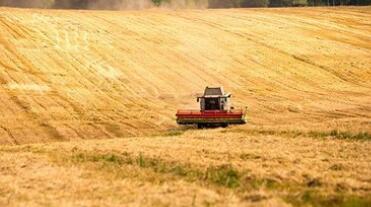 �н�A�ɵز�����ϰ���ӯ��������΢��