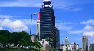 ���¹�˾�ƻ���ӡ��Ͷ��51��¬�Ƚ�����ʳ����