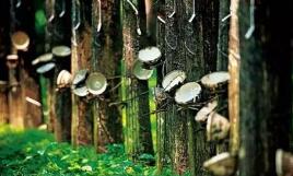 �ӱ�����142��ط���׼�ƶ�����ǿʡ���� �����±�׼����ڿհ�