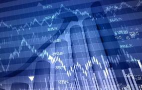 ����֤ȯ������������ȯ����ʵʩϸ��2019 ���޶���