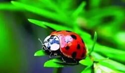 ��������������ũҩ