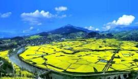 �����ι������������ɣ��߾���ң�С��Ƽ����������