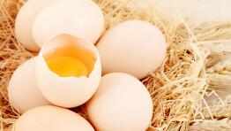 �ڼ۽�ǿԶ�������������ɡ���Զ��