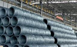 ���ڸּ����� ����𵴵���