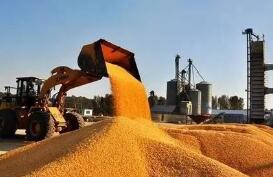 ����������ũ��Ʒ�ڻ�