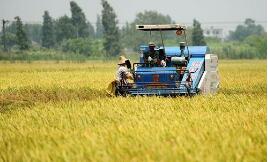 ����ͳ�ƾ�ũ��˾�߼�ͳ��ʦ�Ʊ��Ž��2019���絾�������:ȫ���絾�ܲ���2627���