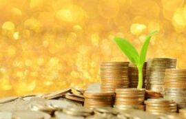 ����ƴ�����ʤ�������а��걨ҵ������ʮ��